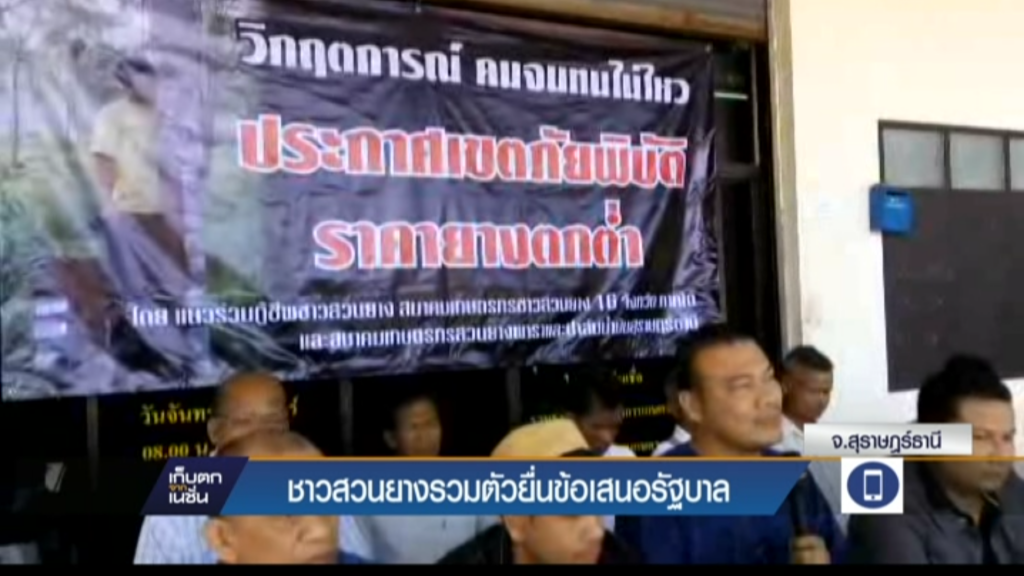 ชาวสวนยางรวมตัวยื่นข้อเสนอรัฐบาล