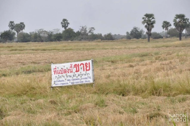 ชาวนาทนแล้งไม่ไหวติดป้ายประกาศขายที่นาราคาถูก