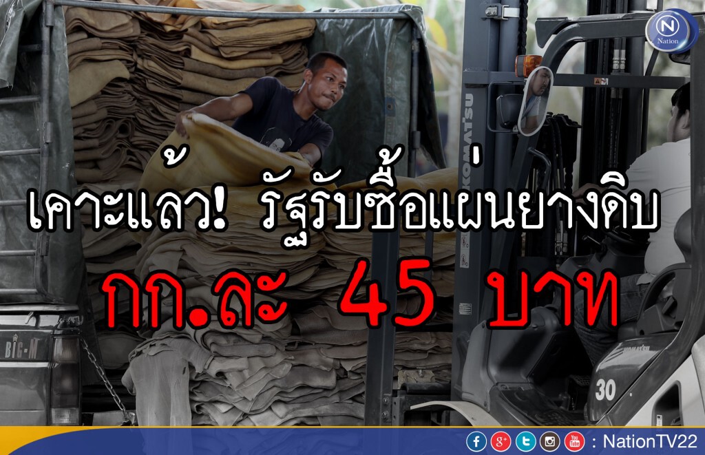 เคาะแล้ว รัฐบาลรับซื้อแผ่นยางดิบ กก.ละ 45 บาท เคาะแล้ว รัฐบาลรับซื้อแผ่นยางดิบ กก.ละ 45 บาท