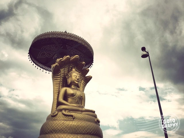 Gotography : ชมวิวแบบพาโนรามา ณ กังหันลมลำตะคอง นครราชสีมา