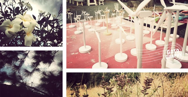 Gotography : ชมวิวแบบพาโนรามา ณ กังหันลมลำตะคอง นครราชสีมา