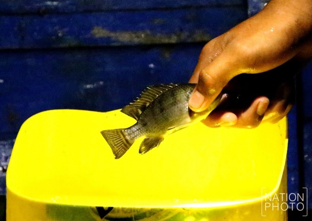 เด็กนราฯสู้ชีวิต พี่วัย13 พาน้องวัย10 หาปลาขายถึงเที่ยงคืน ก่อนไปเรียนตอนเช้า