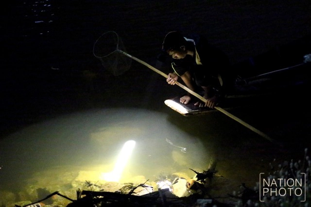 เด็กนราฯสู้ชีวิต พี่วัย13 พาน้องวัย10 หาปลาขายถึงเที่ยงคืน ก่อนไปเรียนตอนเช้า