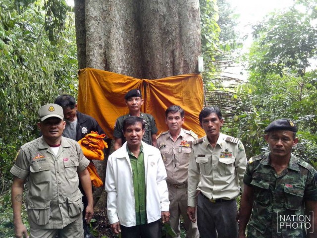 ตะลึง! พบป่าตะเคียนโบราณ 500 ต้น รอดจากพายุเกย์