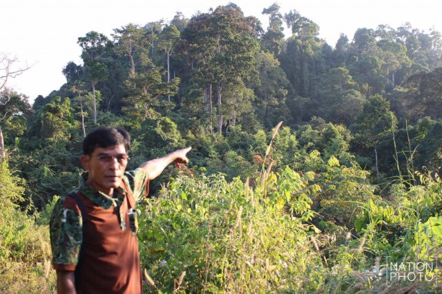 ตะลึง! พบป่าตะเคียนโบราณ 500 ต้น รอดจากพายุเกย์