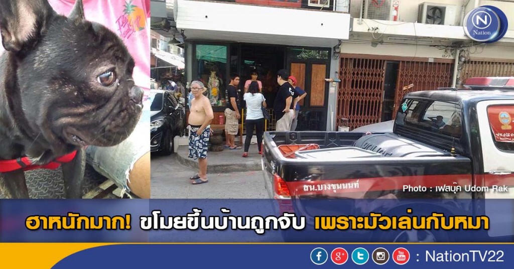 ฮาหนักมาก! ขโมยขึ้นบ้านถูกจับ เพราะมัวเล่นกับหมา ฮาหนักมาก! ขโมยขึ้นบ้านถูกจับ เพราะมัวเล่นกับหมา