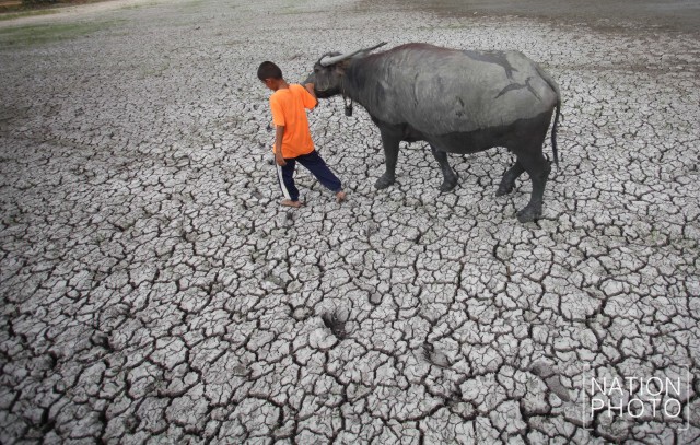 ภาพชุด อ.สรรพยา จ.ชัยนาท สุดแล้ง ฝนทิ้งช่วงนานกว่า 6 เดือน