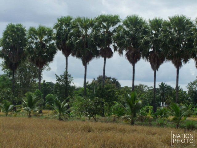 เยี่ยม "ไร่นาป่าสงวน" ปอ ทฤษฎี ที่บุรีรัมย์