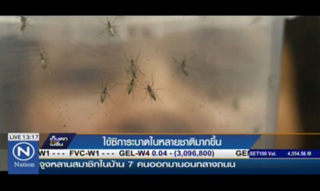 "ไข้ซิกา"ระบาดในหลายชาติมากขึ้น