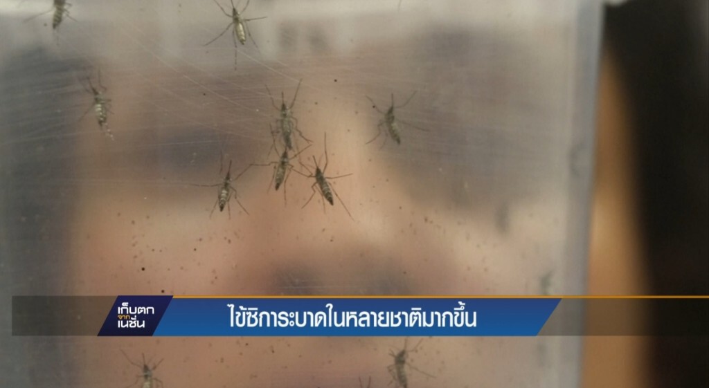 ไข้ซิการะบาดในหลายชาติมากขึ้น ไข้ซิการะบาดในหลายชาติมากขึ้น