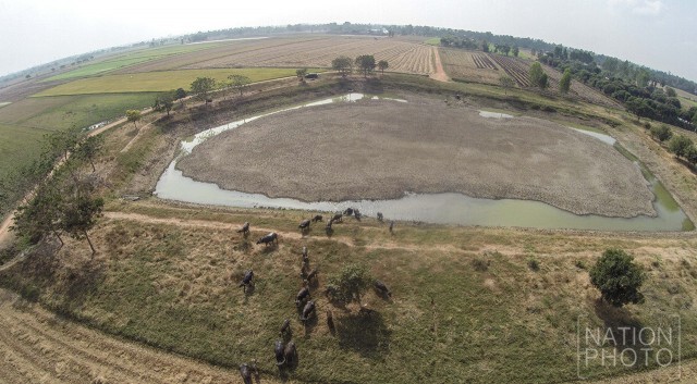 ภาพมุมสูง อ.สรรพยา จ.ชัยนาท สุดแล้ง ฝนทิ้งช่วงนานกว่า 6 เดือน