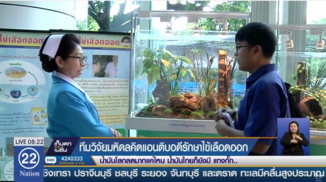 ครั้งแรกของโลก  มหิดลผลิตแอนติบอดีรักษาไข้เลือดออก