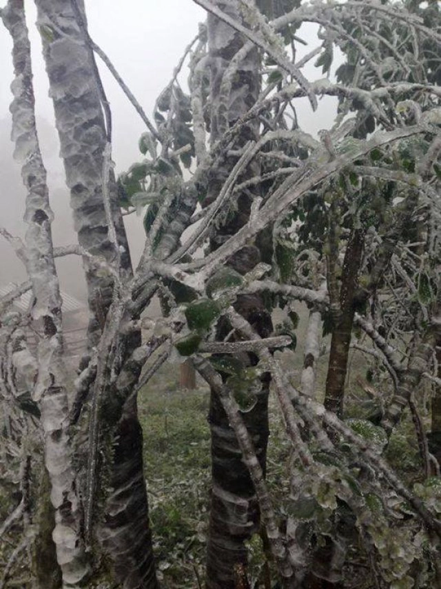 แขวงหัวพันของสปป.ลาวเกล็ดหิมะตกแล้ว