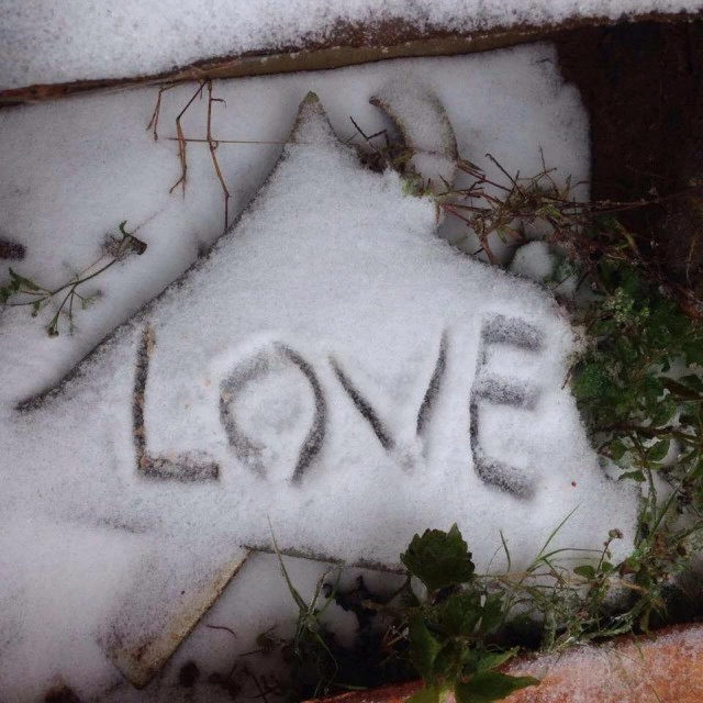 แขวงหัวพันของสปป.ลาวเกล็ดหิมะตกแล้ว