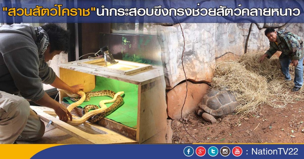 "สวนสัตว์โคราช"นำกระสอบขึงกรงช่วยสัตว์คลายหนาว