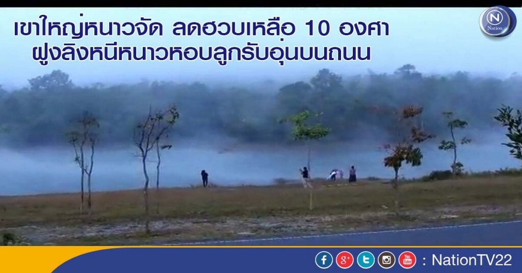 เขาใหญ่หนาวจัด ลดฮวบเหลือ 10 องศา ฝูงลิงหนีหนาวหอบลูกรับอุ่นบนถนน เขาใหญ่หนาวจัด ลดฮวบเหลือ 10 องศา ฝูงลิงหนีหนาวหอบลูกรับอุ่นบนถนน