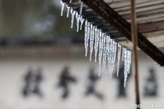 เอเชียหนาวจัด ฮ่องกงอุณหภูมิต่ำสุดในรอบเกือบ 60 ปี