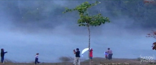 เขาใหญ่หนาวจัด ลดฮวบเหลือ 10 องศา ฝูงลิงหนีหนาวหอบลูกรับอุ่นบนถนน