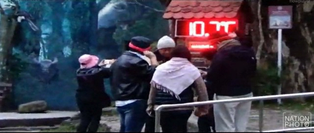 เขาใหญ่หนาวจัด ลดฮวบเหลือ 10 องศา ฝูงลิงหนีหนาวหอบลูกรับอุ่นบนถนน