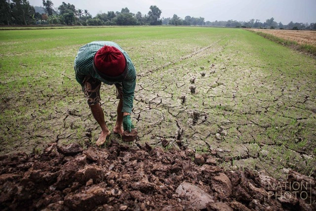 แล้งจัด ..ชาวนาชัยนาทต้องขุดบ่อเอง