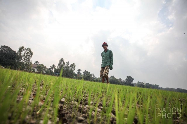 แล้งจัด ..ชาวนาชัยนาทต้องขุดบ่อเอง