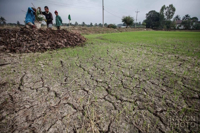 แล้งจัด ..ชาวนาชัยนาทต้องขุดบ่อเอง