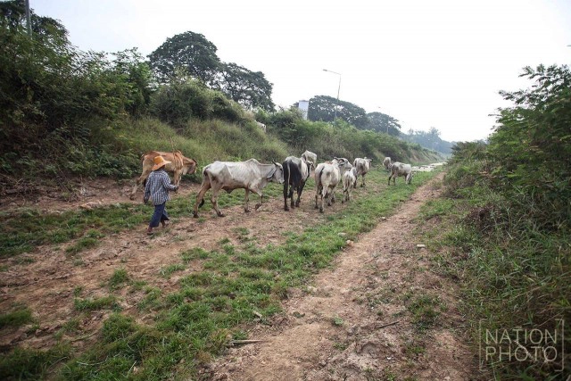 แล้งจัด ..ชาวนาชัยนาทต้องขุดบ่อเอง