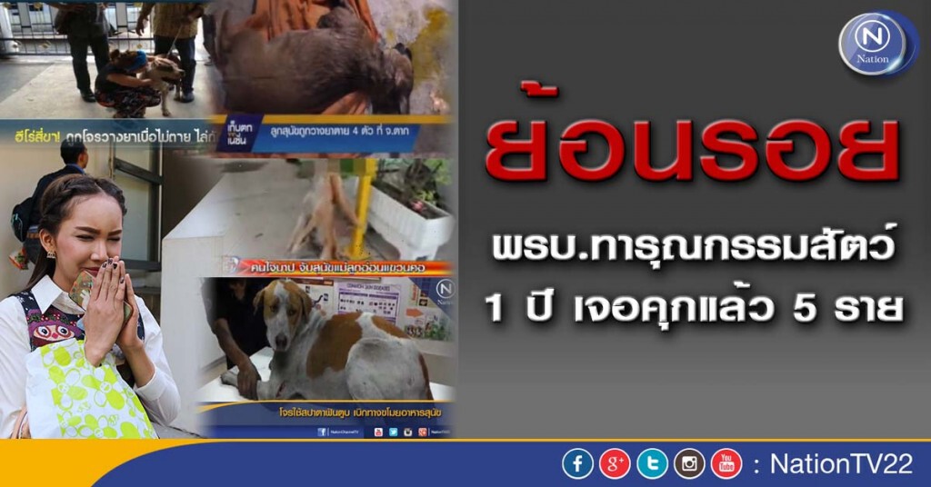 ย้อนรอย พรบ.ทารุณกรรมสัตว์ 1 ปีเจอคุกแล้ว 5 ราย