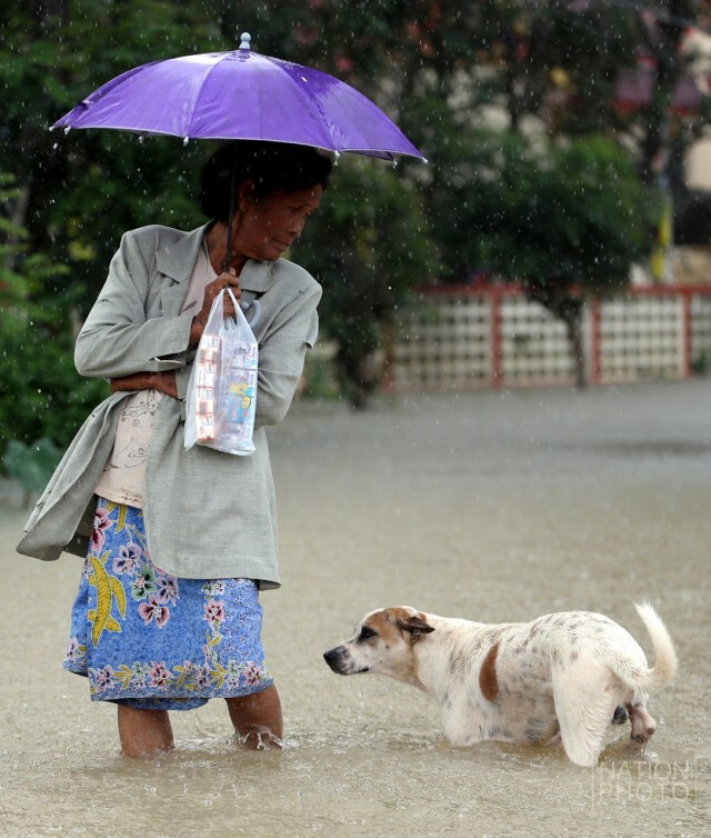 นราธิวาสยังอ่วมน้ำ ไม่สามารถกรีดยางได้