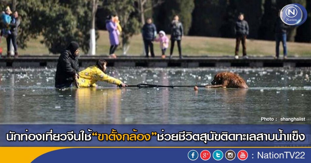 นักท่องเที่ยวจีนใช้"ขาตั้งกล้อง"ช่วยชีวิตสุนัขติดทะเลสาบน้ำแข็ง นักท่องเที่ยวจีนใช้"ขาตั้งกล้อง"ช่วยชีวิตสุนัขติดทะเลสาบน้ำแข็ง