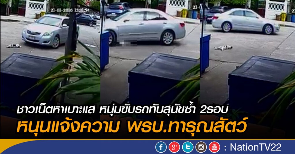 ชาวเน็ตหาเบาะแส หนุ่มขับรถทับสุนัขซ้ำ 2รอบ
 หนุนแจ้งความ พรบ.ทารุณสัตว์