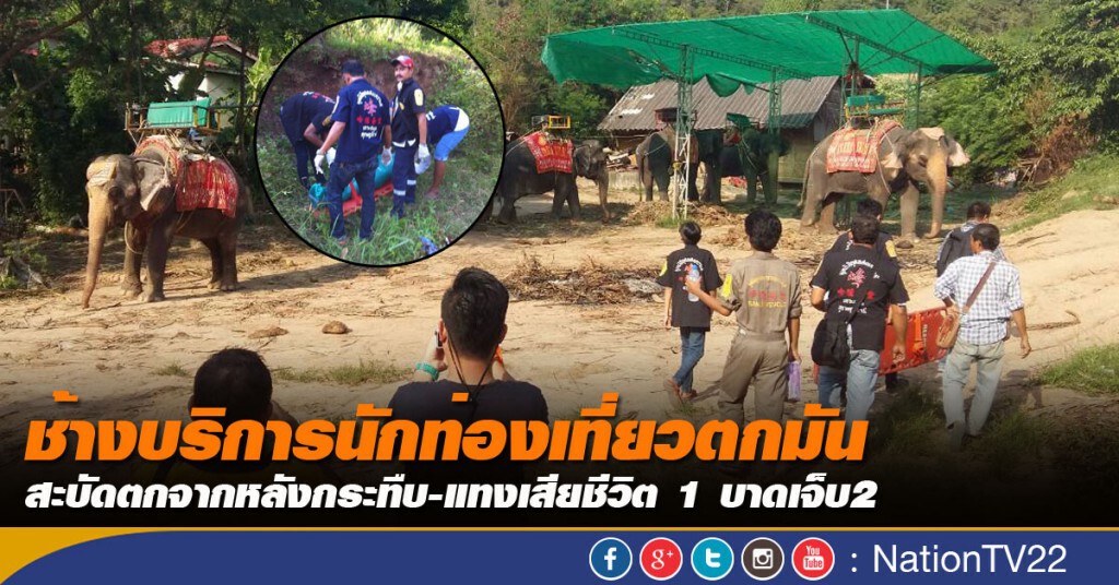 ช้างบริการนักท่องเที่ยวตกมัน สะบัดตกจากหลังกระทืบ-แทงเสียชีวิต 1 บาดเจ็บ2 ช้างบริการนักท่องเที่ยวตกมัน สะบัดตกจากหลังกระทืบ-แทงเสียชีวิต 1 บาดเจ็บ2