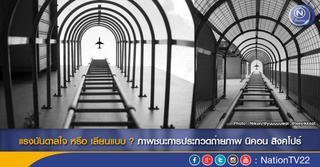 แรงบันดาลใจ หรือ เลียนแบบ ? ภาพชนะการประกวดถ่ายภาพ นิคอน สิงคโปร์