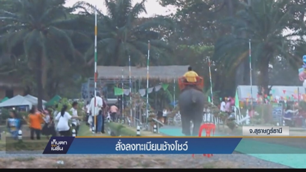 สั่งลงทะเบียนช้างโชว์