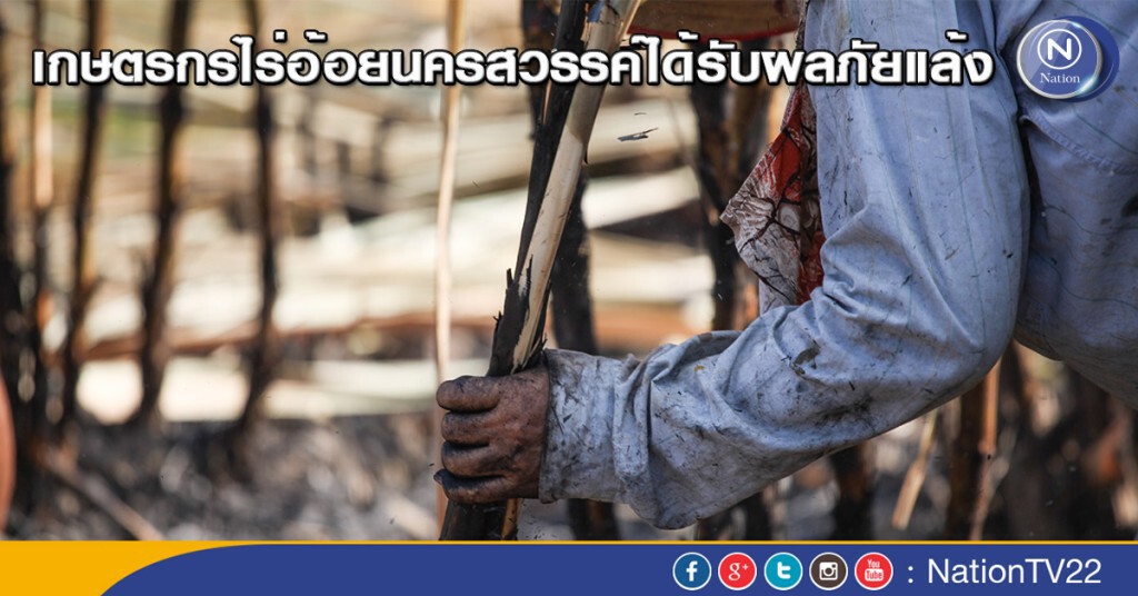 เกษตรกรไร่อ้อยนครสวรรค์ได้รับผลภัยแล้ง เกษตรกรไร่อ้อยนครสวรรค์ได้รับผลภัยแล้ง