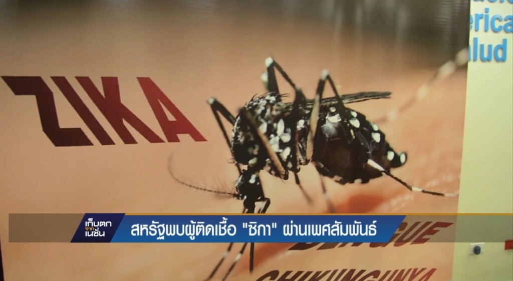 สหรัฐพบผู้ติดเชื้อซิกาผ่านเพศสัมพันธ์