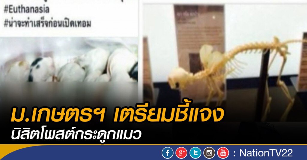ม.เกษตรฯ เตรียมชี้แจงนิสิตโพสต์กระดูกแมว ม.เกษตรฯ เตรียมชี้แจงนิสิตโพสต์กระดูกแมว