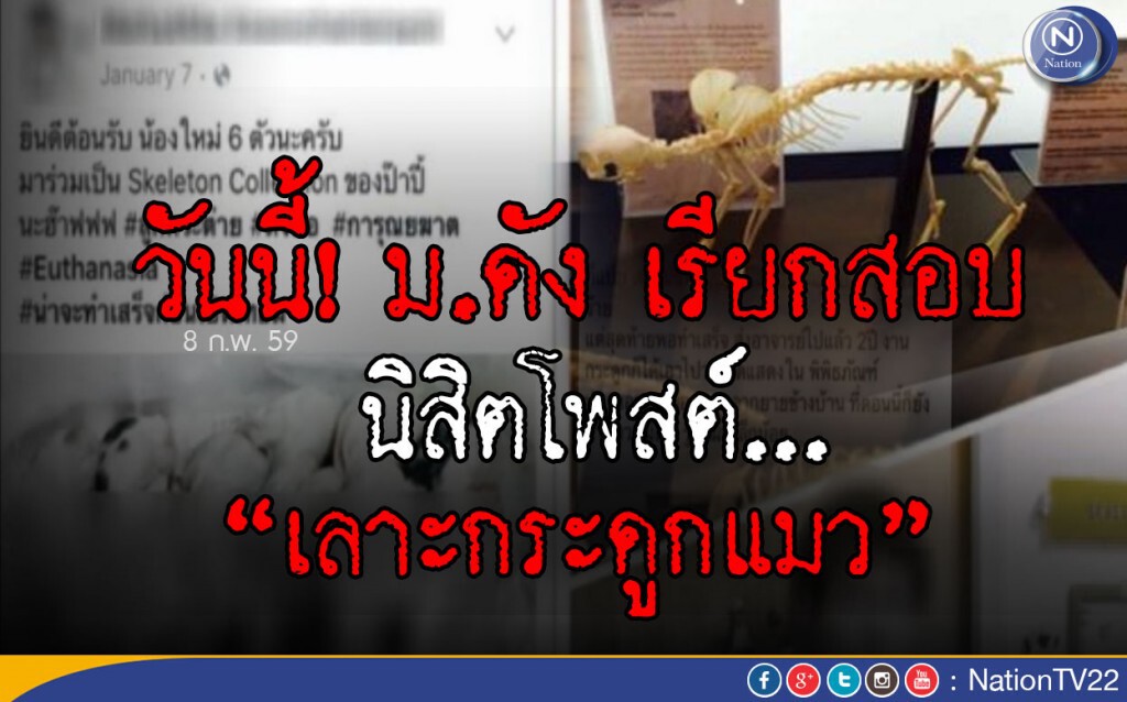 ม.ดัง เรียกสอบ นิสิตโพสต์เลาะกระดูกแมว ม.ดัง เรียกสอบ นิสิตโพสต์เลาะกระดูกแมว