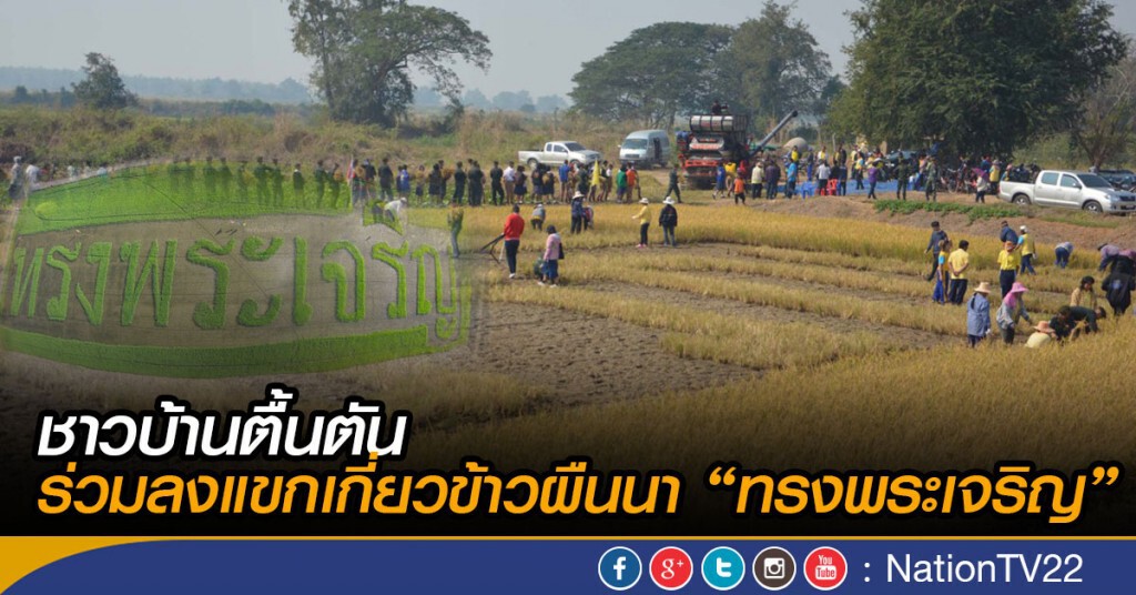 ชาวบ้านตื้นตัน ร่วมลงแขกเกี่ยวข้าวผืนนา "ทรงพระเจริญ"