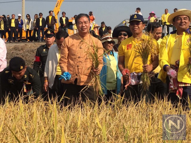 ชาวบ้านตื้นตัน ร่วมลงแขกเกี่ยวข้าวผืนนา "ทรงพระเจริญ"
