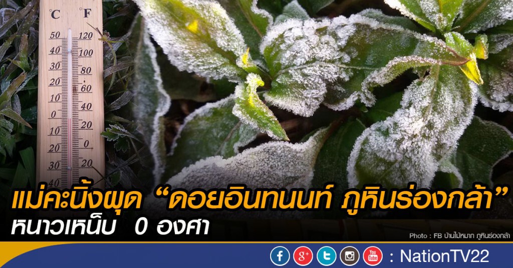 แม่คะนิ้งผุด ดอยอินทนนท์ ภูหินร่องกล้า หนาวเหน็บ 0 องศา แม่คะนิ้งผุด ดอยอินทนนท์ ภูหินร่องกล้า หนาวเหน็บ 0 องศา