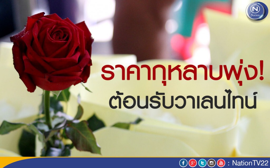 ราคากุหลาบพุ่ง! ต้อนรับวาเลนไทน์ ราคากุหลาบพุ่ง! ต้อนรับวาเลนไทน์