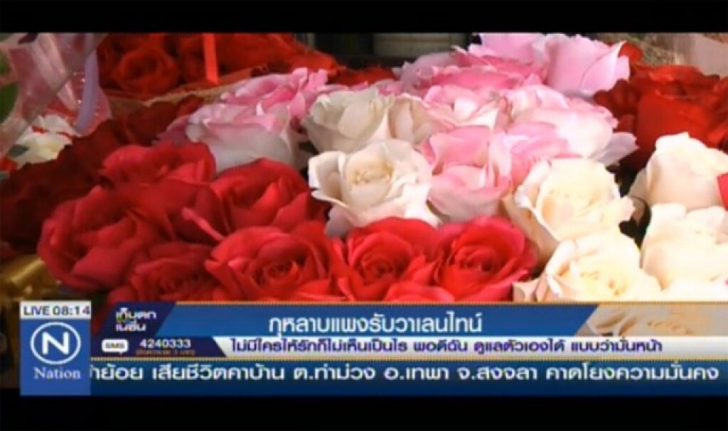 กุหลาบแพง รับวาเลนไทน์ กุหลาบแพง รับวาเลนไทน์