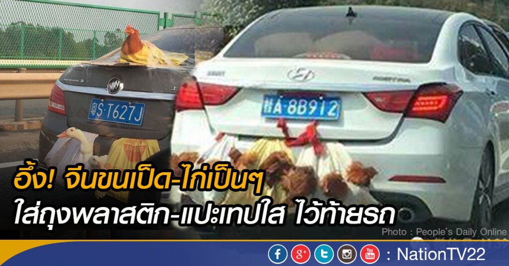 อึ้ง! จีนขนเป็ด-ไก่เป็นๆ  ใส่ถุงพลาสติก-แปะเทปใส ไว้ท้ายรถ