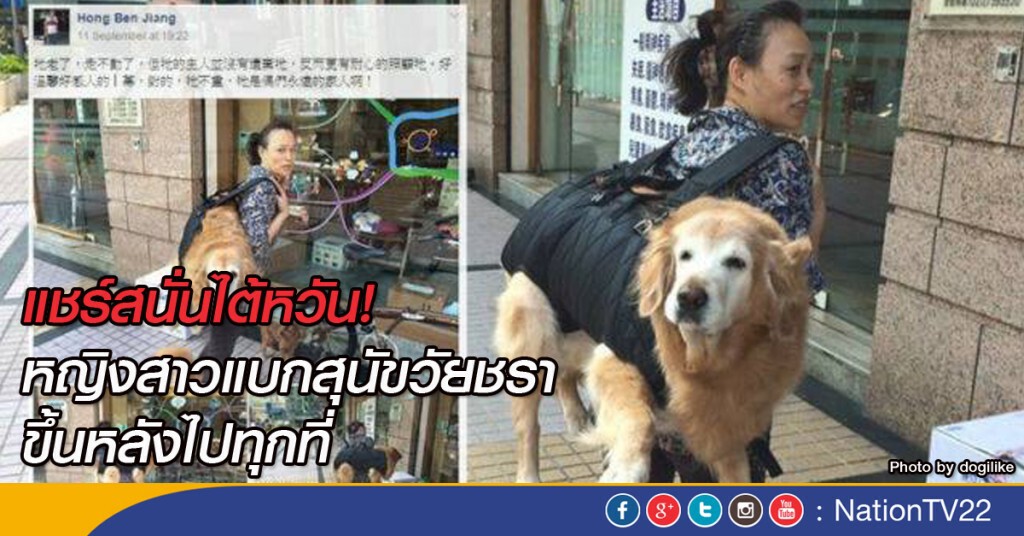 แชร์สนั่นไต้หวัน! หญิงสาวแบกสุนัขวัยชราขึ้นหลังไปทุกที่