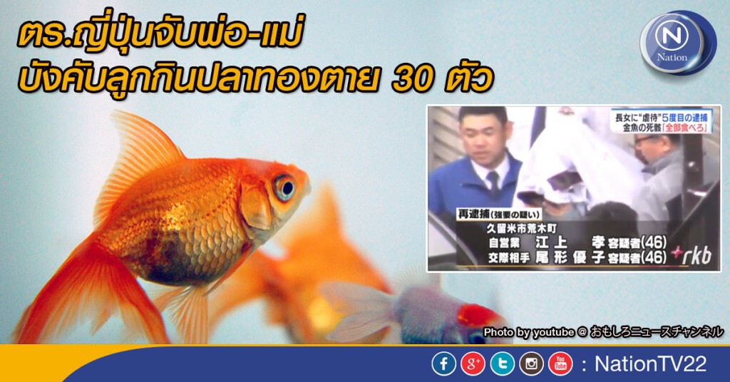 ตร.ญี่ปุ่นจับพ่อ-แม่ บังคับลูกกินปลาทองตาย 30 ตัว