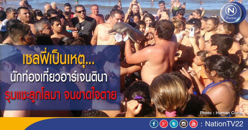 เซลฟี่เป็นเหตุ... นักท่องเที่ยวอาร์เจนตินา รุมแชะลูกโลมา จนขาดใจตาย เซลฟี่เป็นเหตุ... นักท่องเที่ยวอาร์เจนตินา รุมแชะลูกโลมา จนขาดใจตาย