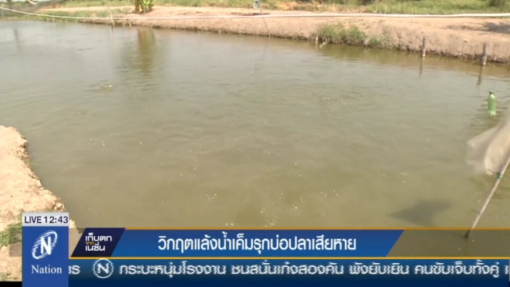 วิกฤตแล้งน้ำเค็มรุกบ่อปลาเสียหาย