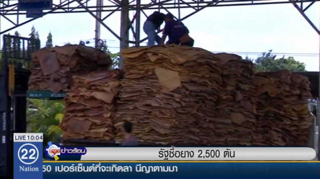 เกษตรกรนำยางพาราขายให้รัฐแล้ว 2,500 ตัน