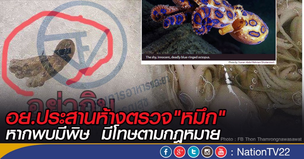 อย.ประสานห้างตรวจ"หมึก" หากพบมีพิษ มีโทษตามกฎหมาย อย.ประสานห้างตรวจ"หมึก" หากพบมีพิษ มีโทษตามกฎหมาย